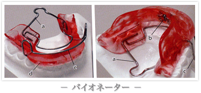 �o�C�I�l�[�^�[ �C���[�W